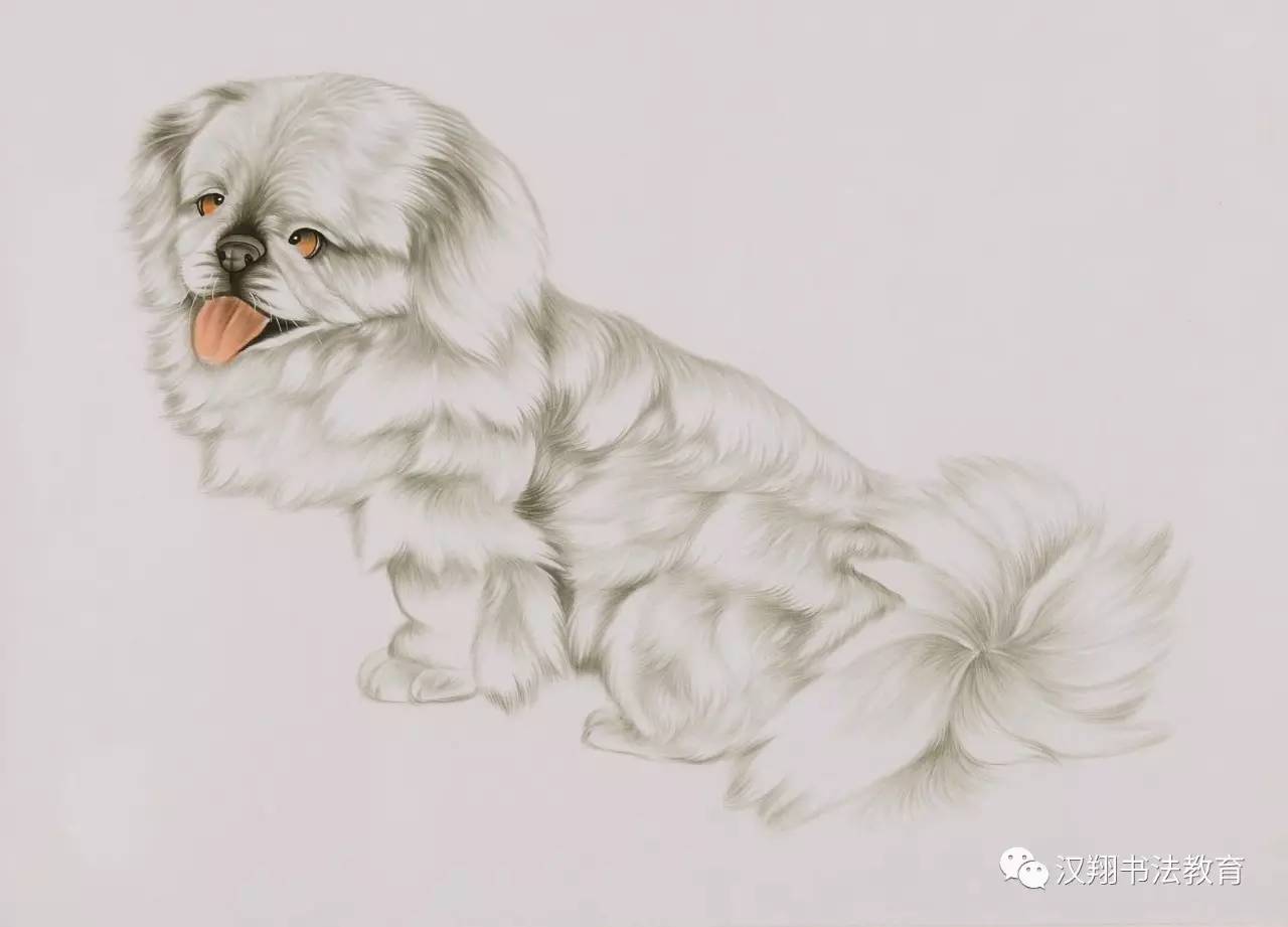 愿望还是要有的万一实现了怎么办,愿望还是要有的万一实现了呢图片