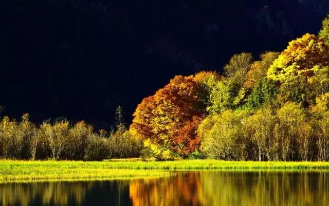 中国每个季节的旅游攻略 (中国一年四季的旅游攻略)