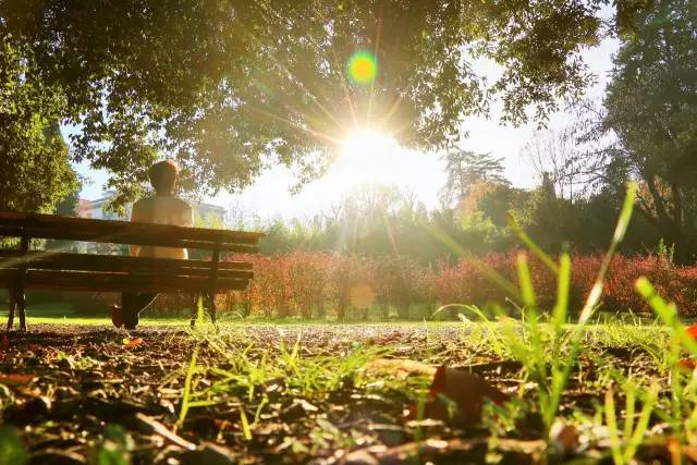 欧洲哪些大学适合交换生,法国交换生注意事项