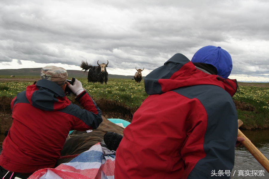 荒野求生秘籍完整版,荒野自救教程