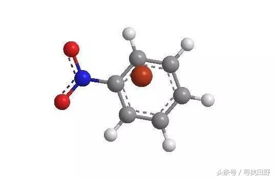 乡食记——袁复生：猪血丸子的“*弹炸**”传说