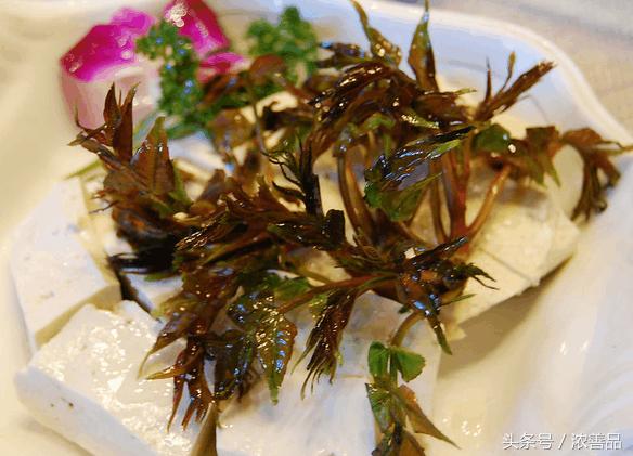 一种长在树上的野菜，营养价值名列前茅，难怪大家都爱吃！