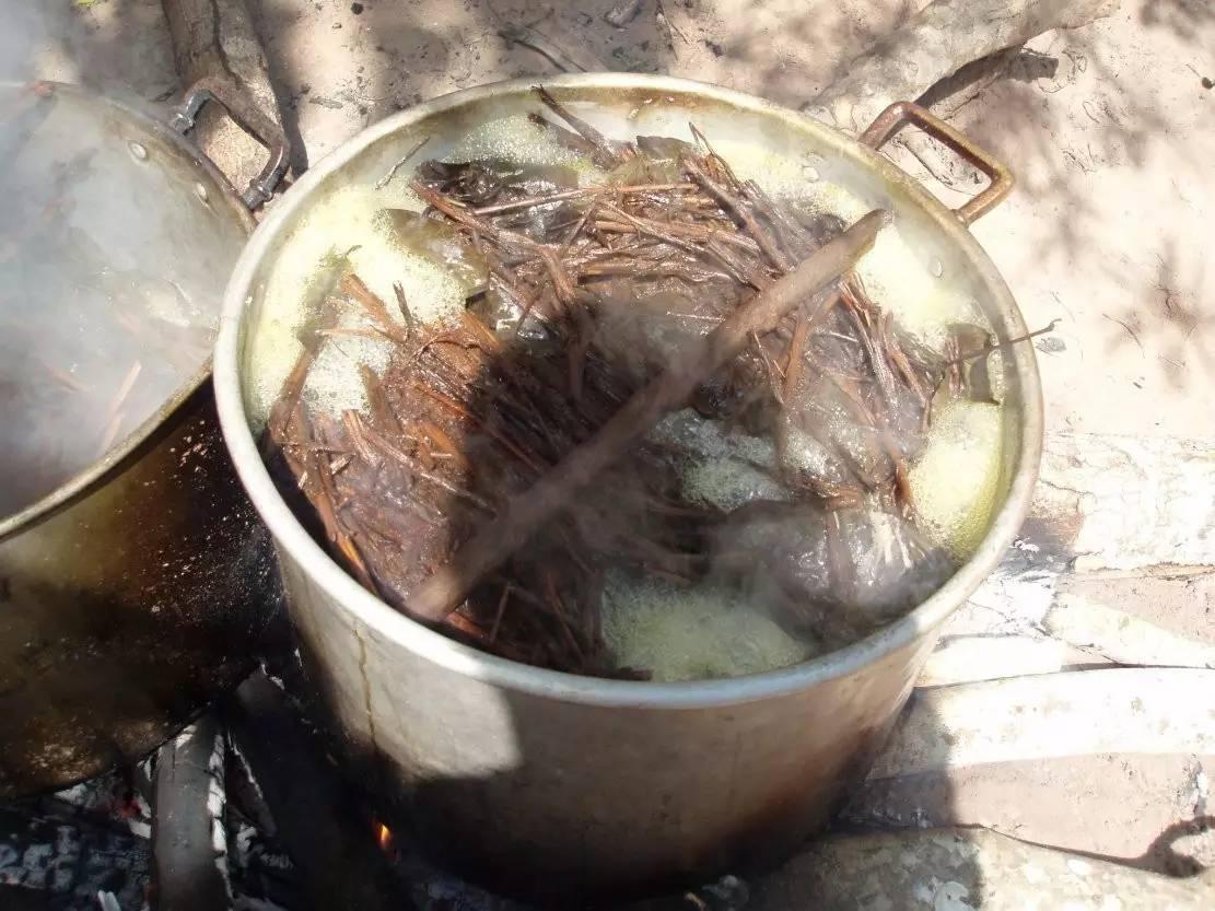 科技行业发布的颠覆性产品,2023年未来十大科技预测