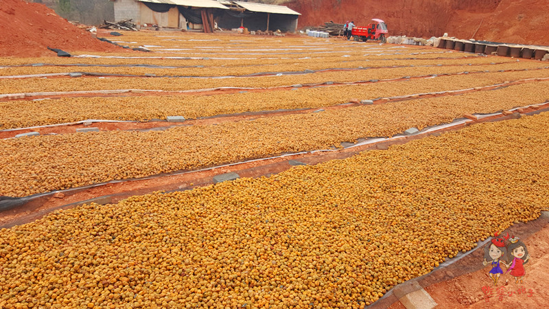 除了大理丽江云南哪里好玩,除了苍山洱海还有什么景点