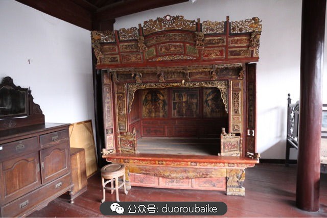 古镇寻肉记:那些旅行中遇见的植物!