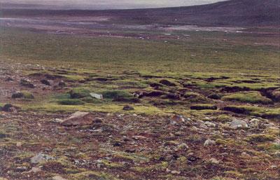 冻土层长成什么样,冰下面的地下土长什么样