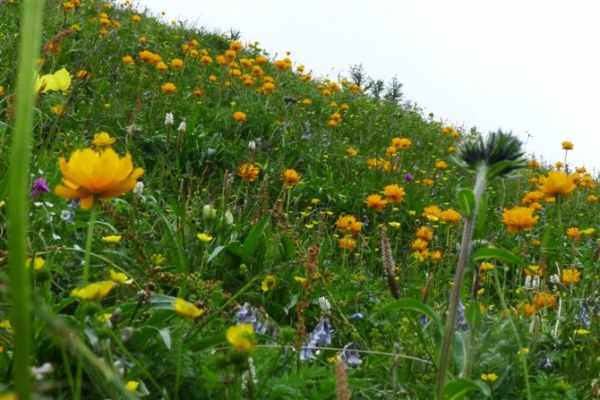 张家口旅游小五台山离市区远吗,张家口小五台山全景图