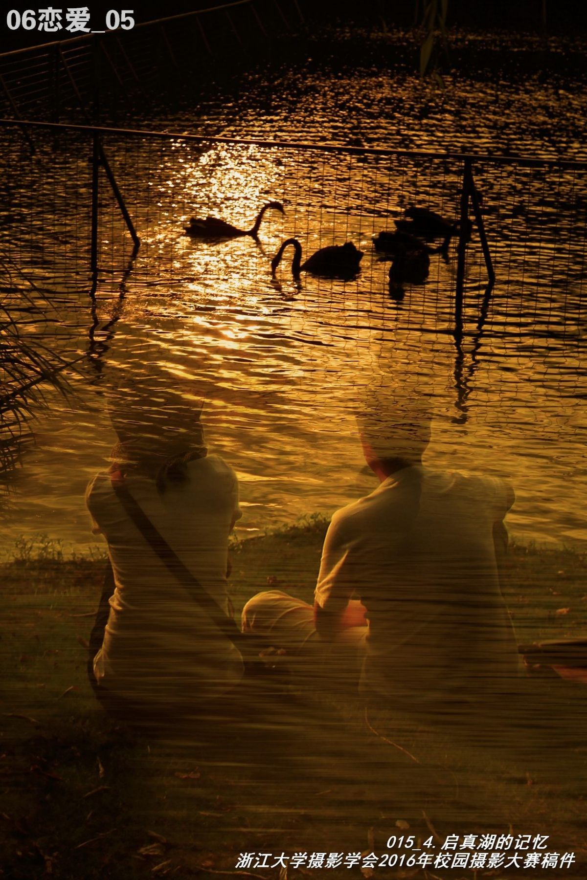 浙江大学是中国最水的大学,一分钟带你了解浙江大学