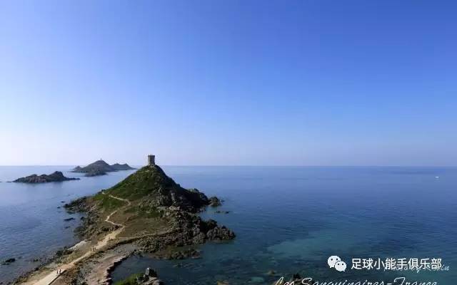 没想到你是这样的太乙,没想到你是这样的翻译