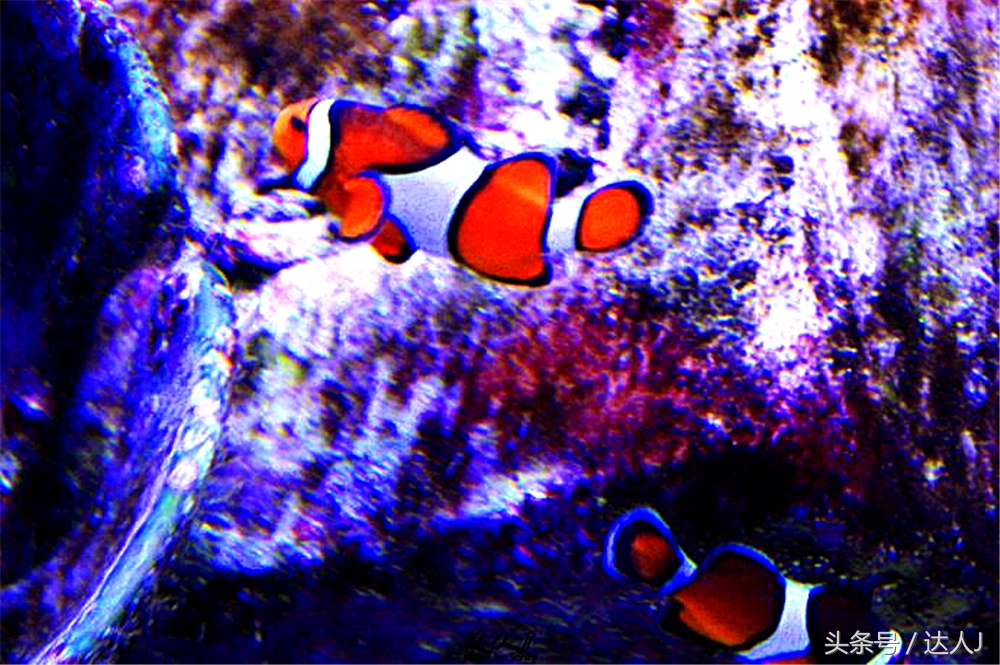 沙漠上的超级绿洲迪拜,迪拜沙漠上的奢华之都