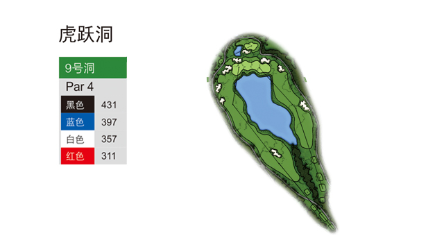 2023佛山青少年锦标赛,广东佛山足球青少年比赛