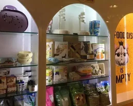 成都宠物寄养基地,成都狗狗寄养