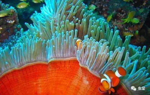 年关将近大家出门一定要注意安全,年关将近大家出门一定注意安全