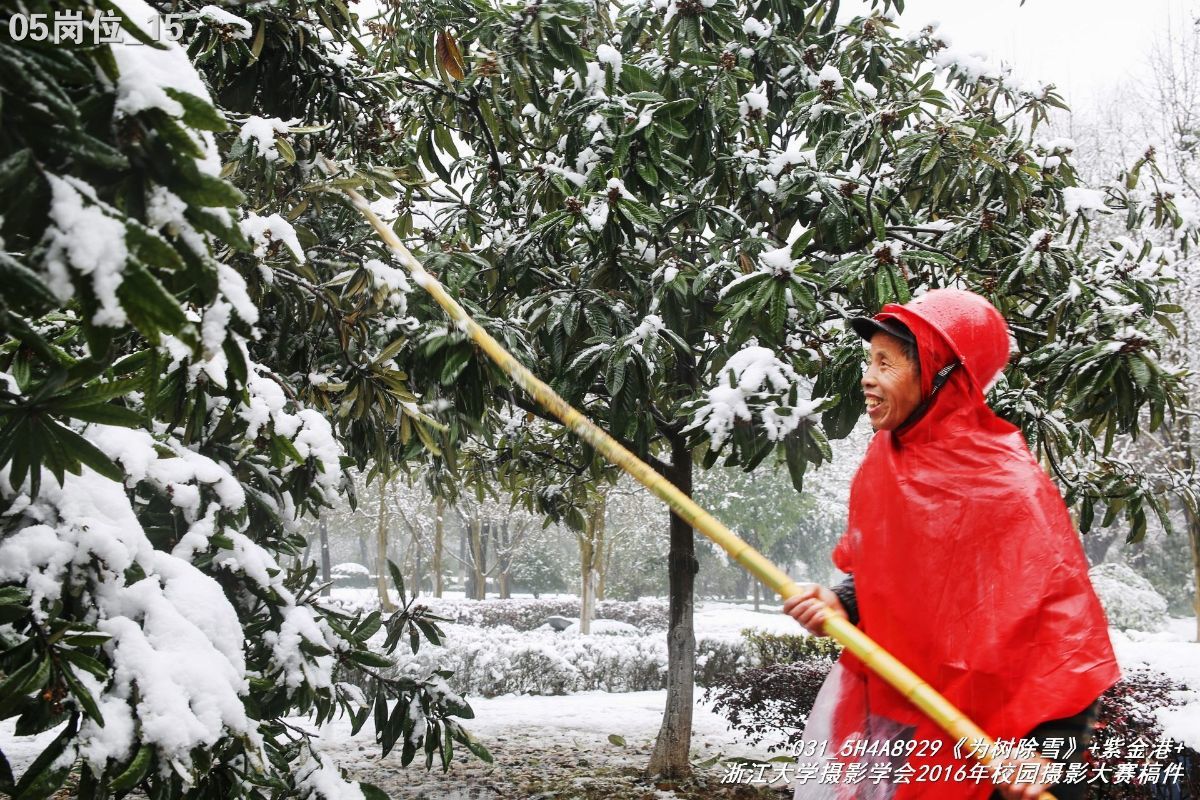 浙江大学是中国最水的大学,一分钟带你了解浙江大学