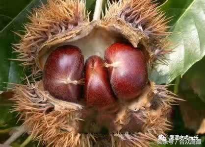 外地朋友问你：“鹰潭有什么特产”，这样告诉他！