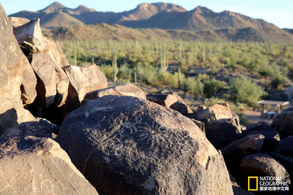 图森仙人掌,图森地理位置