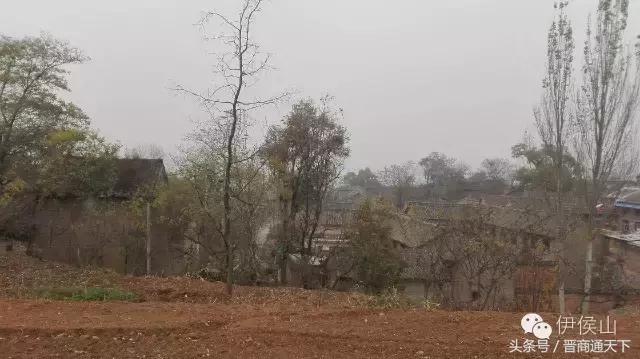 钟灵秀小说,钟灵秀视频