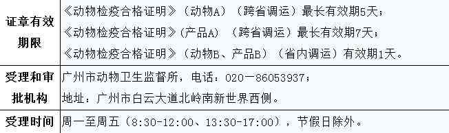 宠物托运流程宠物出行必备知识,带狗子回家过年宠物托运