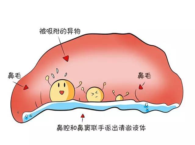 雾霾天气出门要怎么办,沙尘天气怎么清理鼻腔