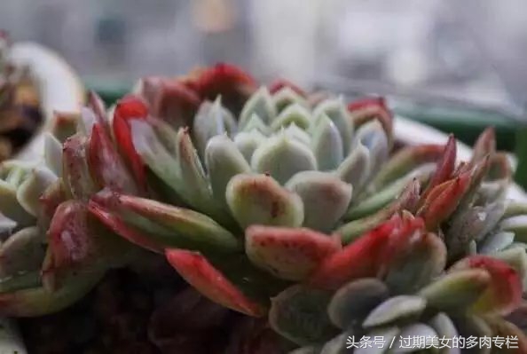 入坑一年小说,入坑一年