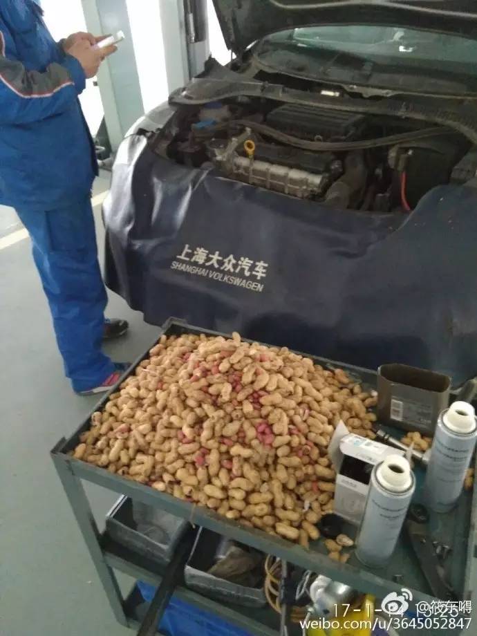 今天这只偷花生的老鼠火了，网友这次都站老鼠