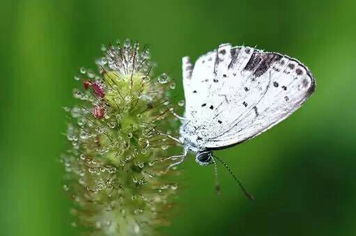看完这些摄影作品点评，你的摄影技能会有大幅提升