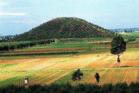 盗墓类比较真实的电影,现实中的盗墓和电影的区别