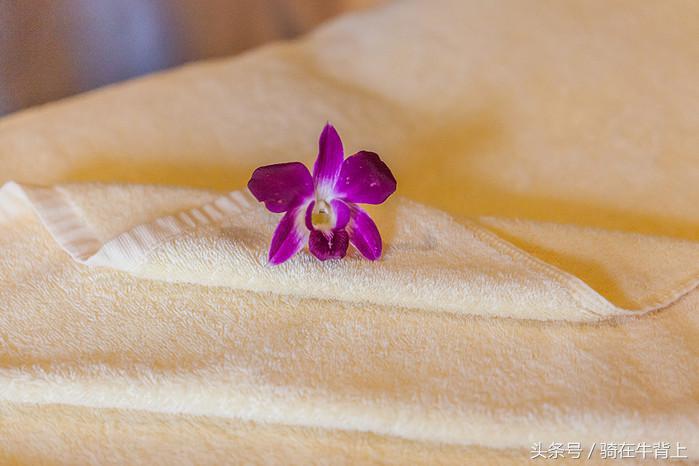 三亚美高梅3天2晚自由行套餐,三亚自由行攻略美高梅酒店