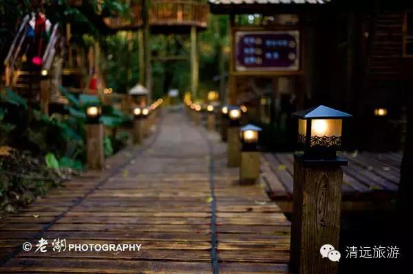 惊！艳！清远这片森林惊现空中吊屋！来过你再也不想回家