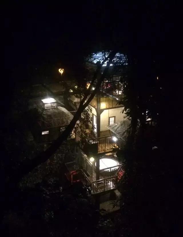 惊！艳！清远这片森林惊现空中吊屋！来过你再也不想回家