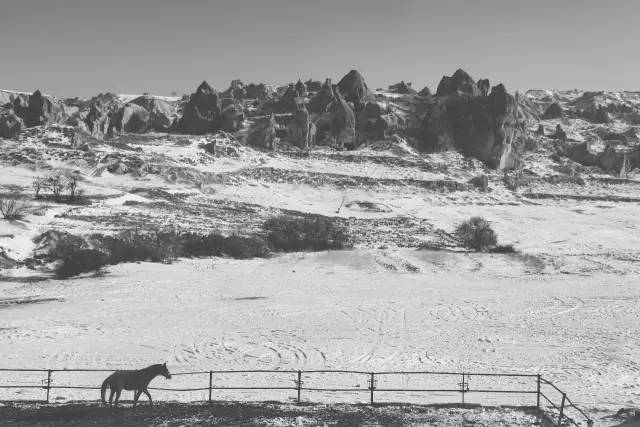 欧洲哪些大学适合交换生,法国交换生注意事项