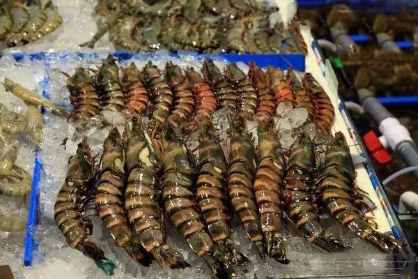 鍗楁槍骞磋揣鍝噷涔版渶渚垮疁,鍗楁槍骞磋揣鎵瑰彂甯傚満