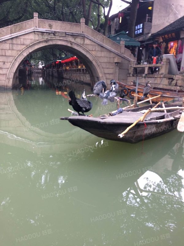 同里古镇一日游跟团,同里古镇一日游