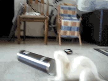 信息快报|第281期(今日共18条)好想使劲抓着雾霾脖领子,问问他我的快递呢?