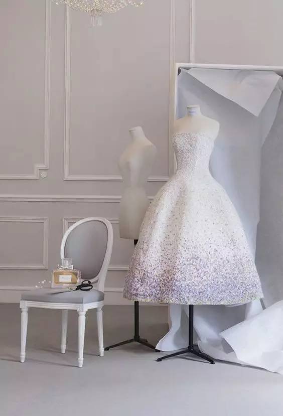 missdior橘调,missdior为啥受欢迎