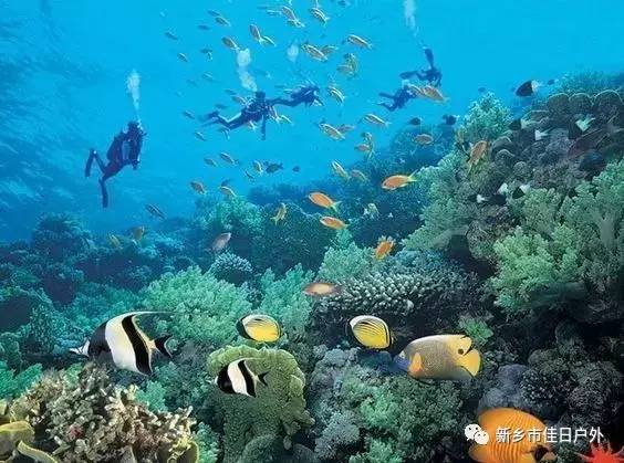 越南旅游第二站美奈,情迷越南