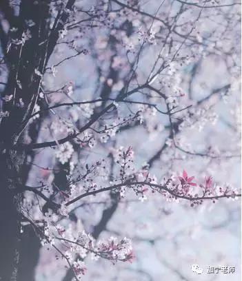 考研院校｜优势专业推荐（上）