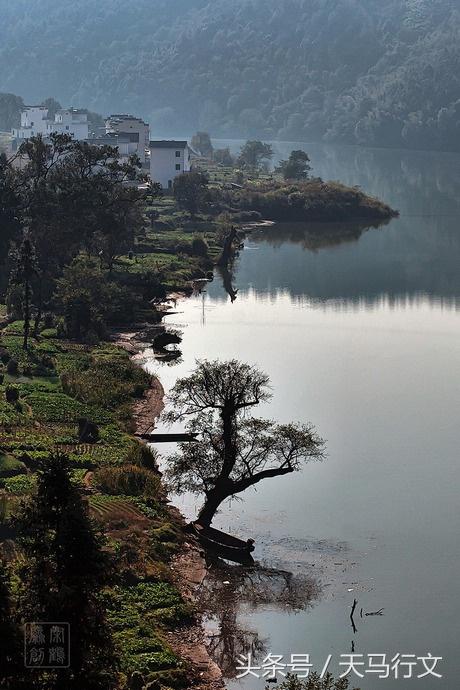 婺源的早晨静谧温馨,冬天的江西婺源
