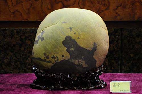 你知道为什么奇石长得像方角石呢,这18块奇石可以称为顶级奇石