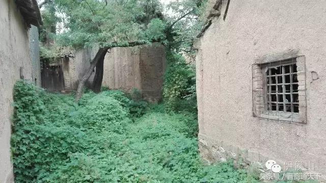 钟灵秀小说,钟灵秀视频