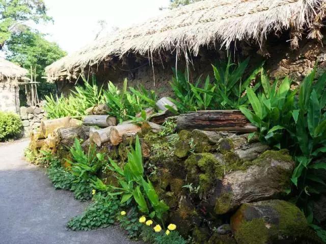 买特价飞机票攻略,买特价机票旅游