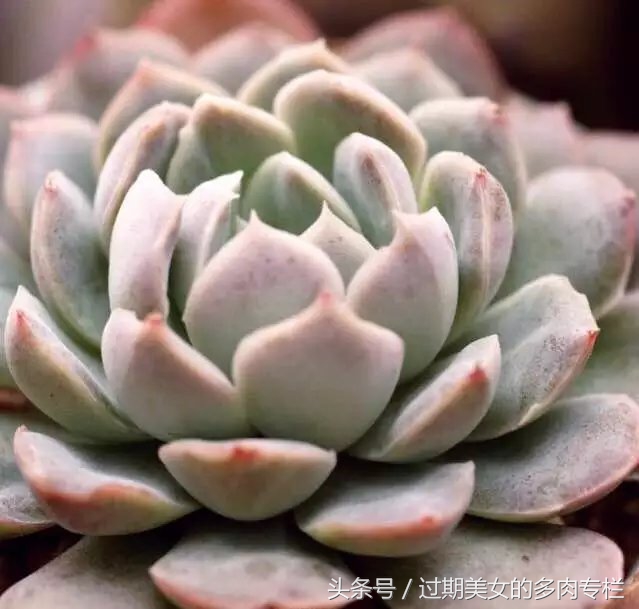 入坑一年小说,入坑一年