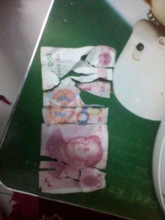 柯基咬鞋被抓,柯基咬坏家具被主人揍