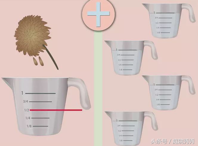 家庭园艺常用杀虫剂,固体杀虫剂使用方法养花