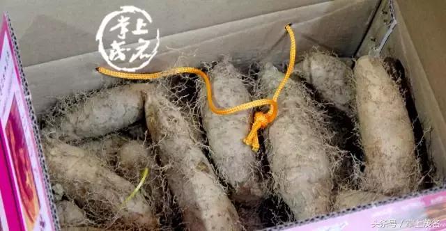 他说，要买点茂名特产回家拜年