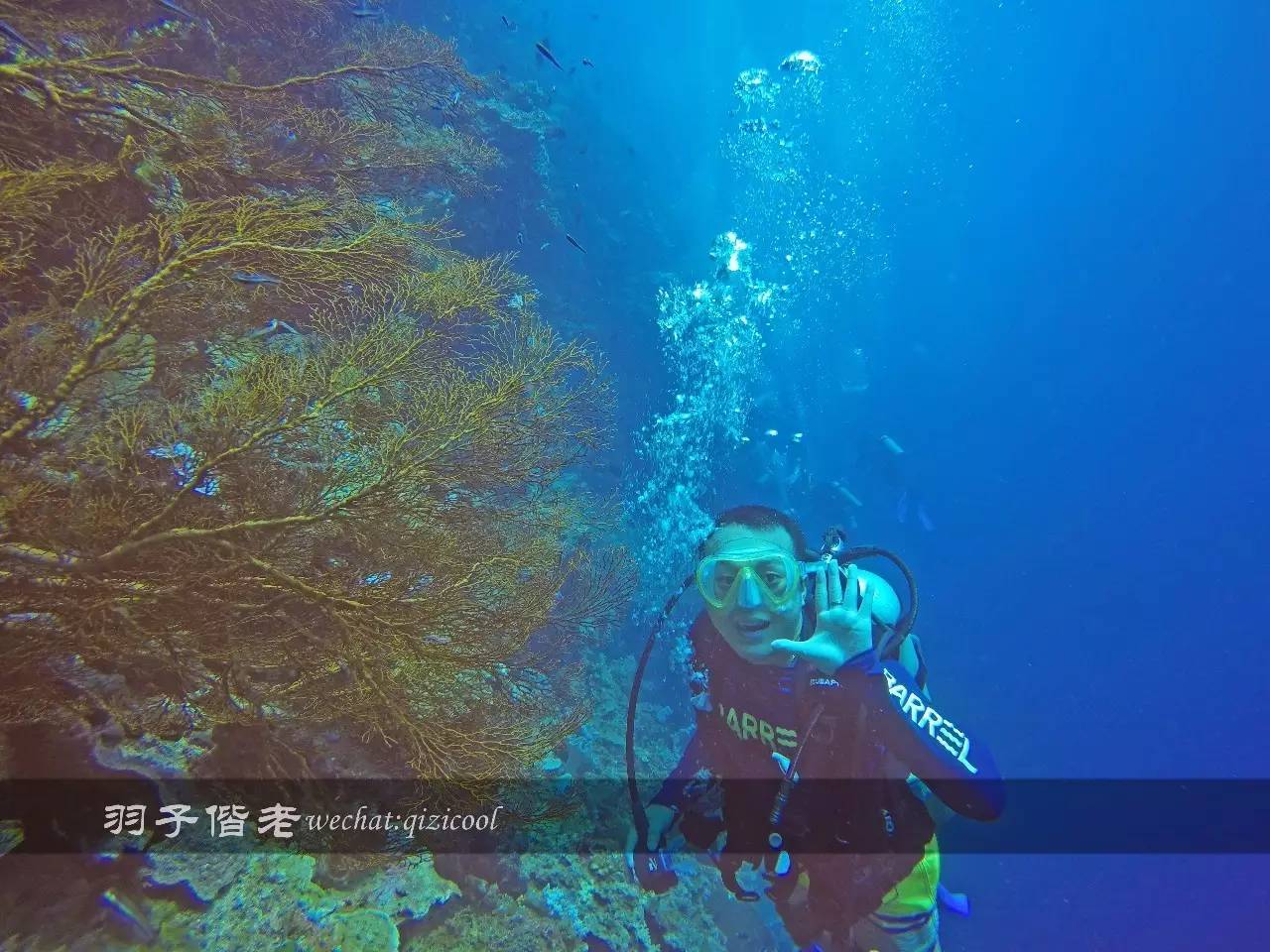 美娜多海岛一日游,印尼美娜多跟团游