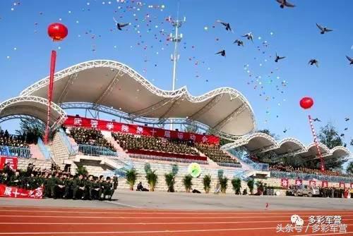 多彩军营,部队基层体育竞赛编排方法
