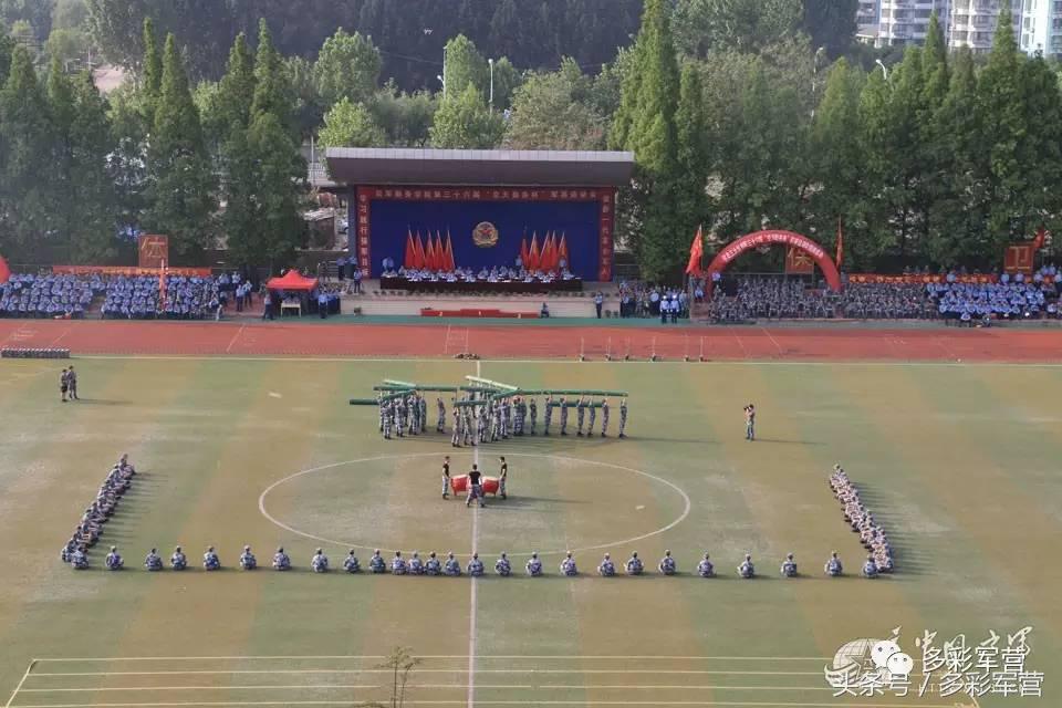 多彩军营,部队基层体育竞赛编排方法