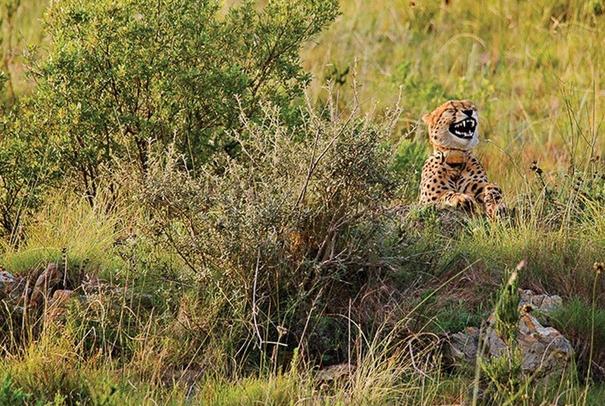 为什么拉黑别人还能看到他的视频,真正拉黑一个人的后果很严重
