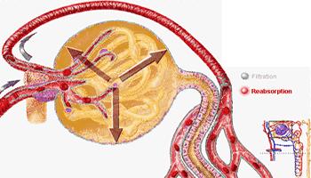 假期综合症进入工作状态,肾病综合征恢复期可以工作吗